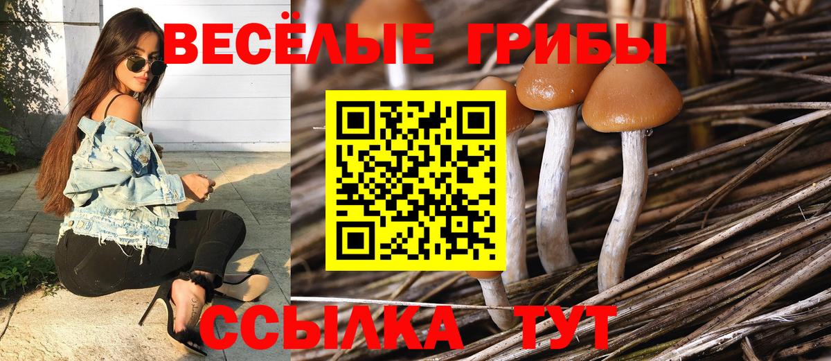 Галлюциногенные грибы прущие грибы Нововоронеж