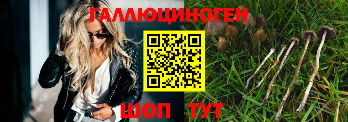 Канабис Нововоронеж